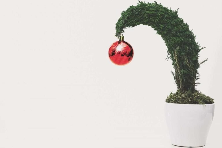 When the Holiday Stress Arrives, Kick It Out!