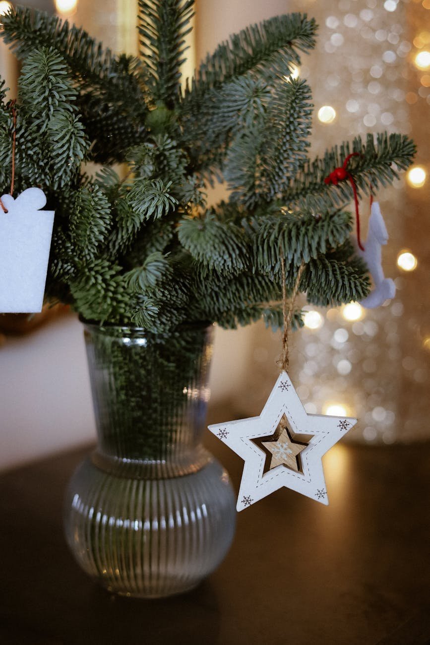 festive indoor christmas tree with star ornament